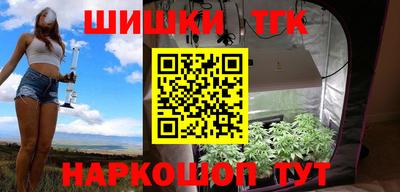 СК Сланцы