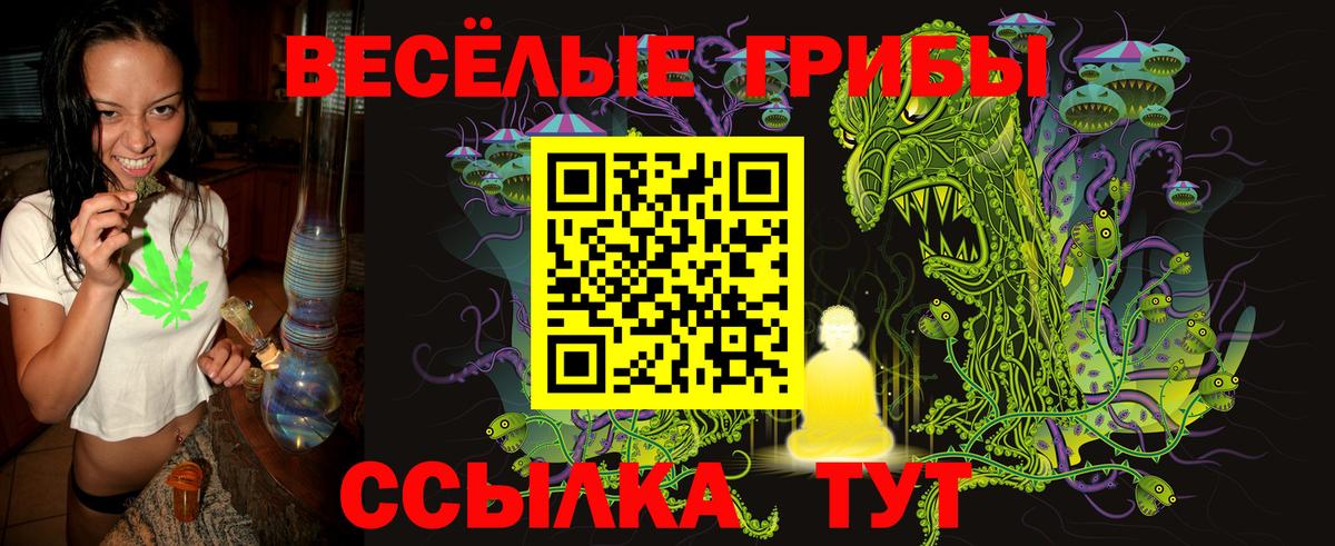 Галлюциногенные грибы мицелий  Псилоцибиновые грибы GOLDEN TEACHER  Волжский  Вход с VPN 